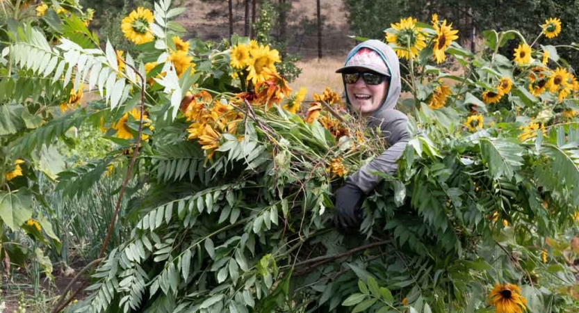 a person holds a bunch of sunflowers during a service project with outward bound